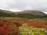 Autumn in Patagonia